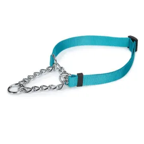 Bluebird Teal Guardian Gear Chain Martingale Dog Collar