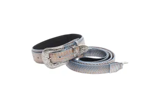 Luxury Pet Fashion Baby Blue/Blue/Bronze Snake Collar & Leash Set, Finished with   Silver Floral Western Hardware