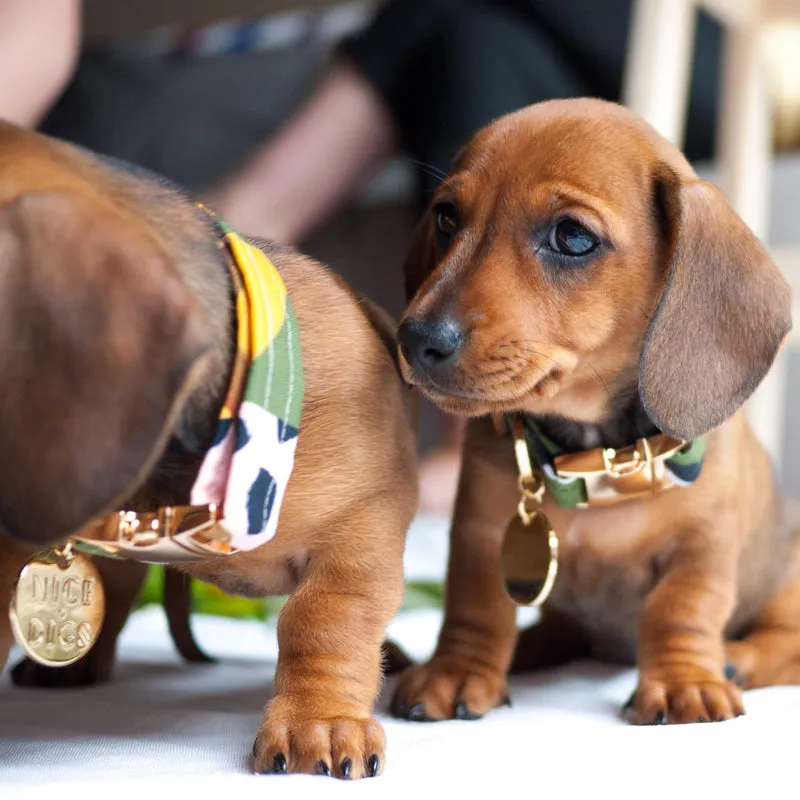 Nice Digs Printed Collar Wanderlust