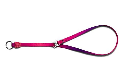 Zee.Dog Obedience Slip Dog Collar (Juno)